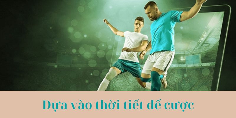 Bí quyết dựa vào thời tiết thi đấu để cá cược