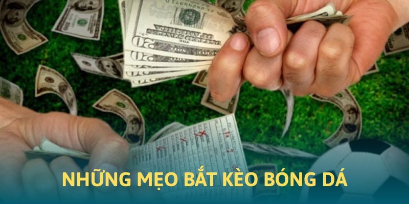 Những bí quyết bắt kèo bóng đá chuẩn chỉnh