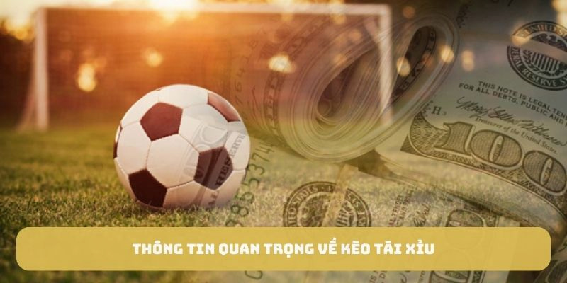 Các bí kíp trên sẽ giúp bạn chơi kèo tài xỉu hiệu quả hơn