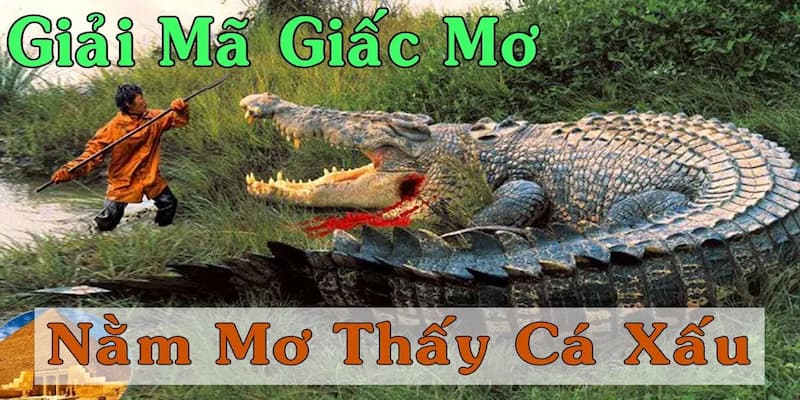 Điềm báo tích cực liên quan đến giấc chiêm bao thấy cá sấu