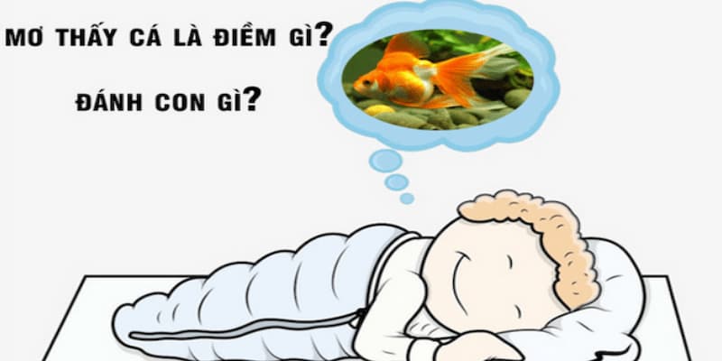 Giải mã giấc mơ thấy cá và những điềm báo liên quan