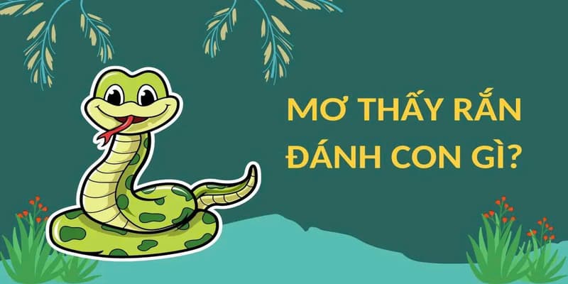 Giải mã các con số liên quan đến từng giấc chiêm bao
