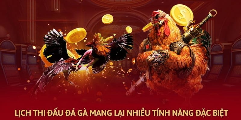 Lịch thi đấu chọi kê mang đến cho khách hàng nhiều tính năng đặc biệt