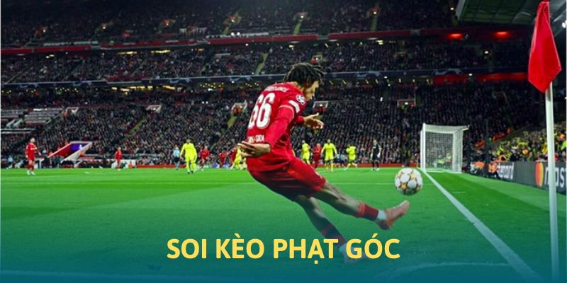 Hình thức soi kèo phạt góc vô cùng chính xác