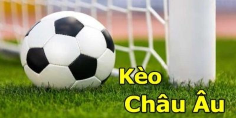 Các kèo cược cơ bản trong bóng đá hiện nay