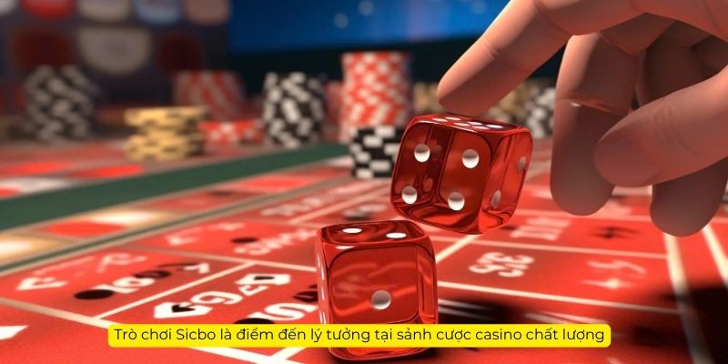 Trò chơi Sicbo là điểm đến lý tưởng tại sảnh cược casino chất lượng