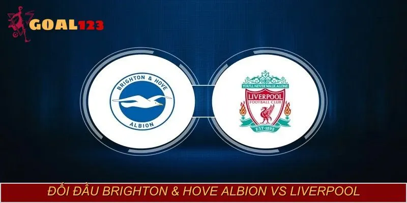 Liverpool nhỉnh hơn hẳn Brighton trong 5 lần gần nhất