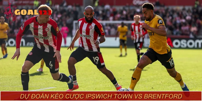 Các loại kèo cược trận Ipswich Town vs Brentford