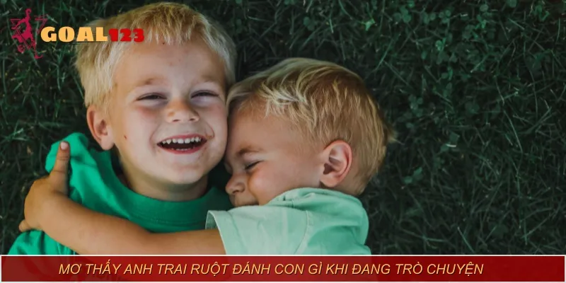 Mơ thấy anh trai ruột đánh con gì khi đang trò chuyện
