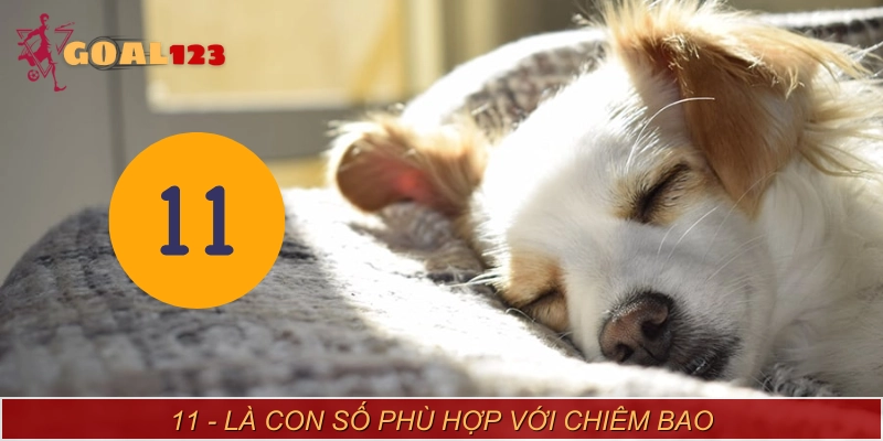 Lô thủ nên đánh con 11 để rước tài lộc