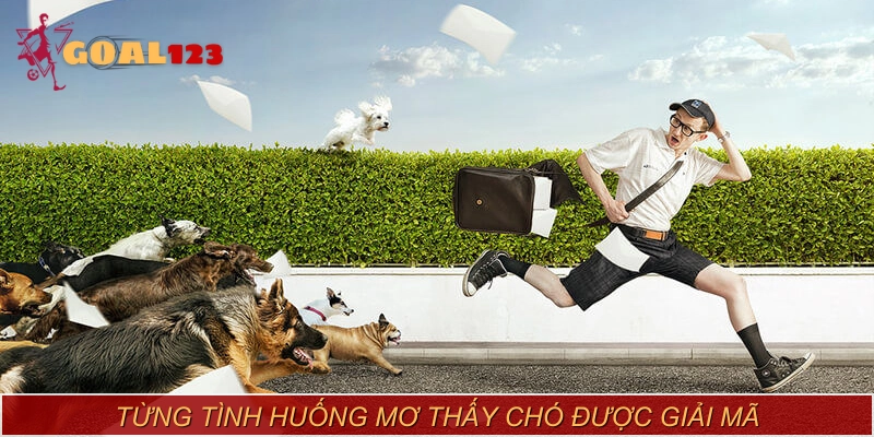 Luận giải từng tình huống mơ thấy chó phổ biến