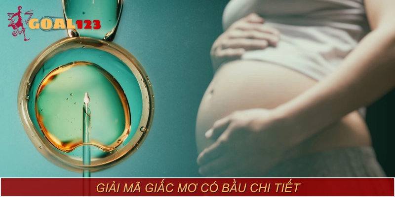 Giải mã nằm mơ thấy có bầu có thể mở ra vận may