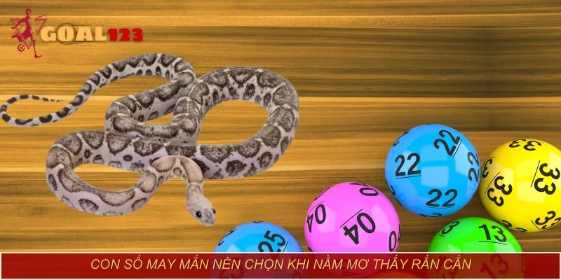 Con số may mắn nên chọn khi nằm mơ thấy rắn cắn