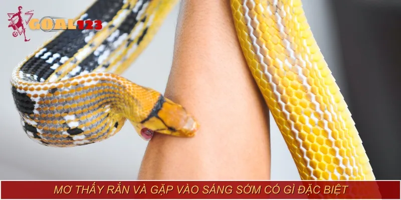 Mơ thấy rắn và gặp vào sáng sớm có gì đặc biệt