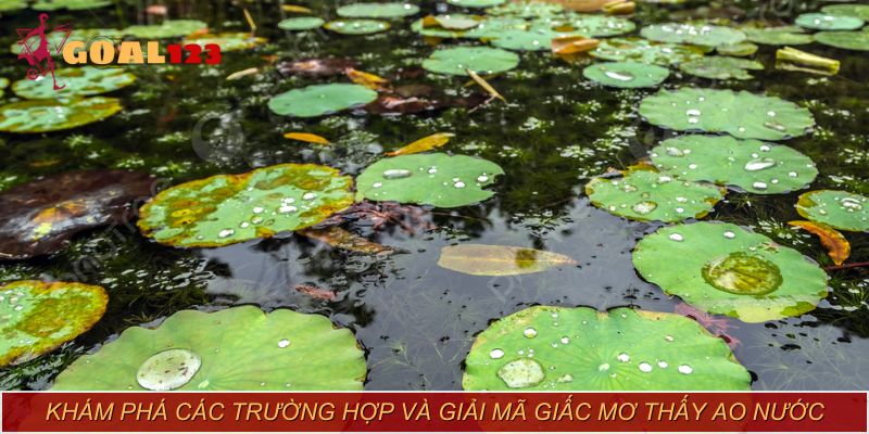 Những giấc mơ thú vị đến mức nào? Tìm hiểu ngay!