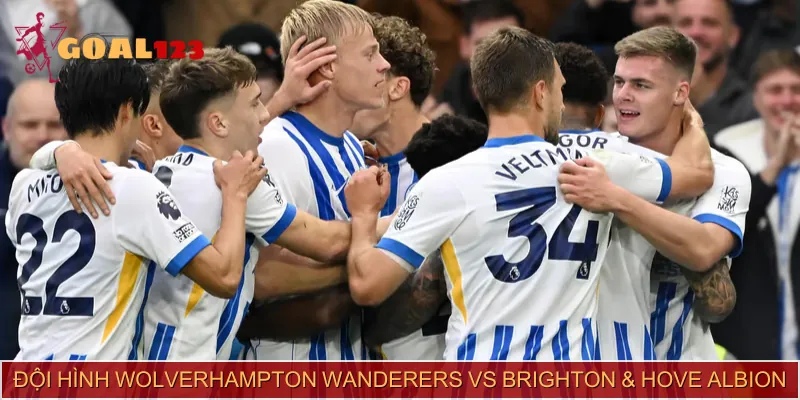 Lực lượng 2 đội Wolverhampton Wanderers vs Brighton & Hove Albion