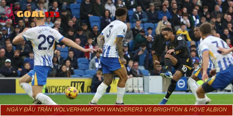 Thông tin trận Wolverhampton Wanderers vs Brighton & Hove Albion