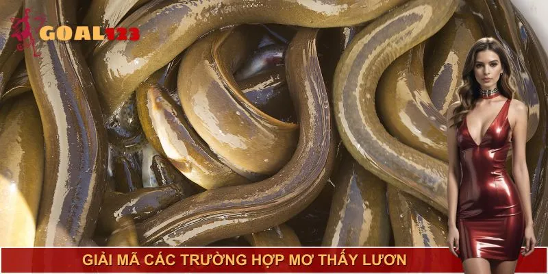 Giải mã qua từng tình huống
