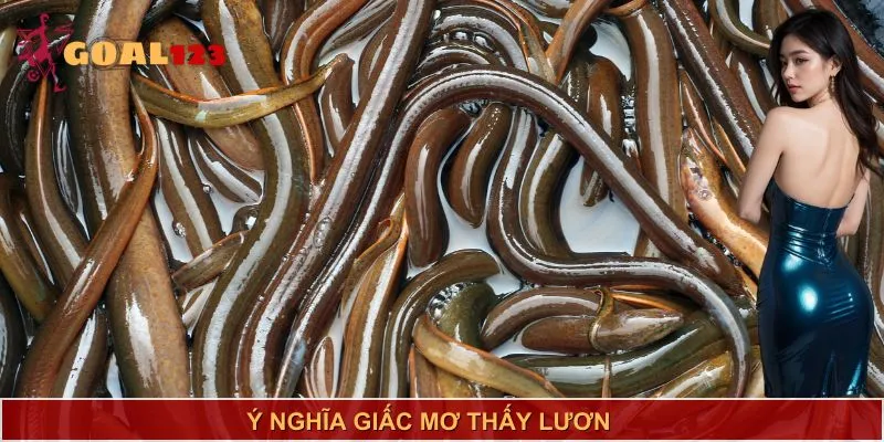 Mơ thấy lươn - Điều bí ẩn gì sau giấc mơ?
