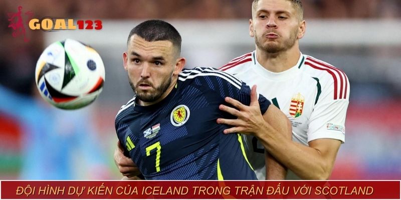 Đội hình dự kiến của Iceland trong trận đấu với Scotland ngày 07/07