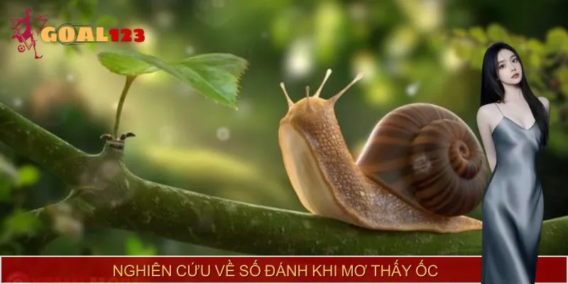 Khám phá về các số nên đánh nếu mơ thấy ốc
