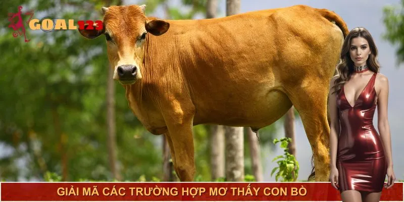 Mơ thấy con bò - Hãy chú ý để không bỏ lỡ những dấu hiệu quan trọng!