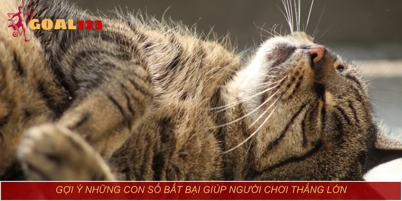 Gợi ý những con số bất bại giúp người chơi thắng lớn
