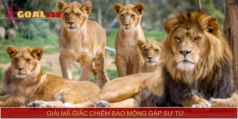 Giải mã giấc chiêm bao mộng gặp sư tử
