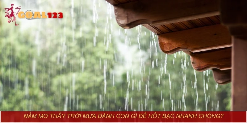 Nằm mơ thấy trời mưa đánh con gì để hốt bạc nhanh chóng?