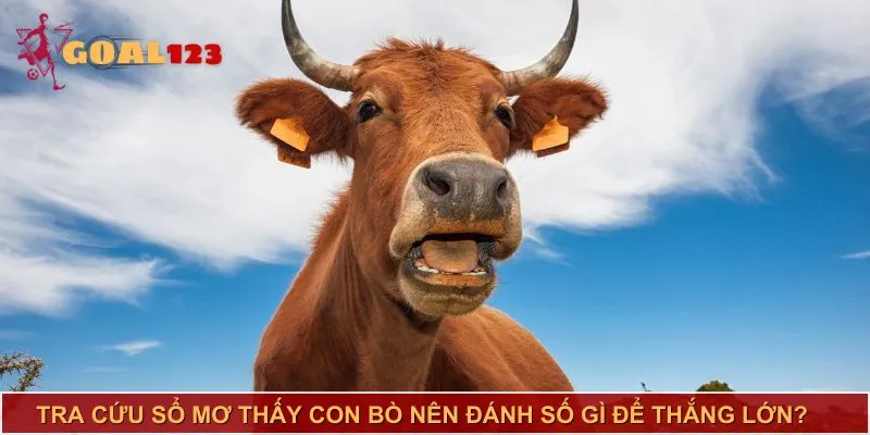 Theo dõi các con số may mắn - Cơ hội trong cuộc chơi!