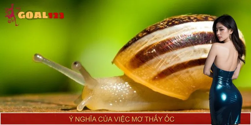 Những ý nghĩa mà mơ thấy ốc mang lại