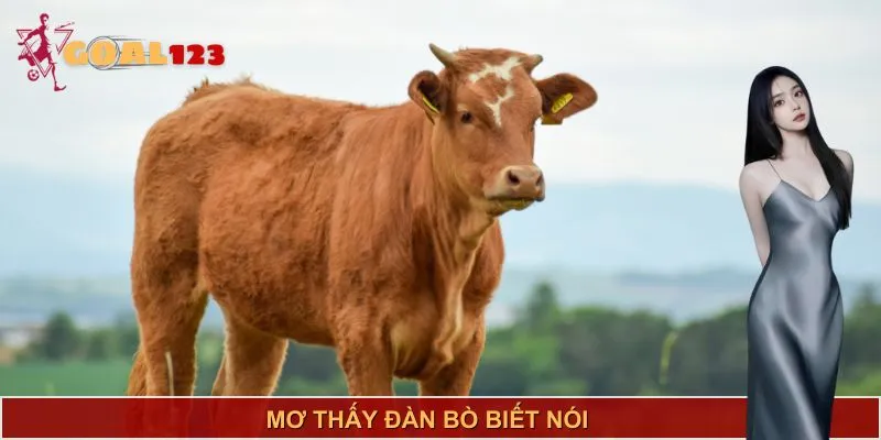 Giấc mơ mang điềm báo riêng biệt, giúp bạn chuẩn bị tốt cho tương lai
