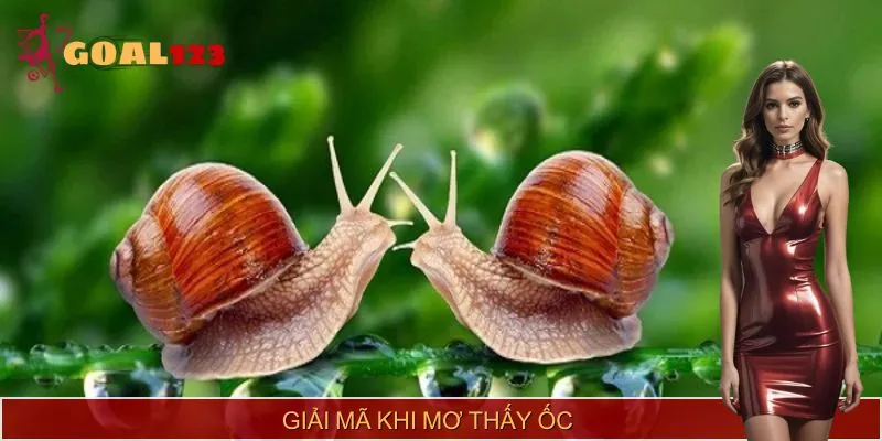 Tìm hiểu về các trường hợp mơ thấy ốc