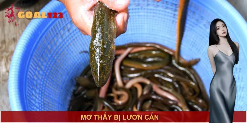 Những điềm báo quan trọng