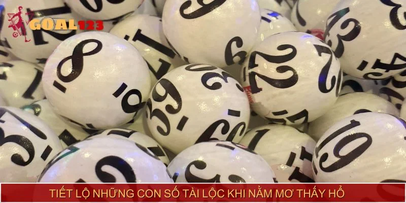 Tiết lộ những con số tài lộc khi nằm mơ thấy hổ