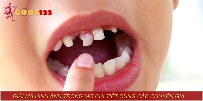 Giải mã hình ảnh trong mơ chi tiết cùng các chuyên gia
